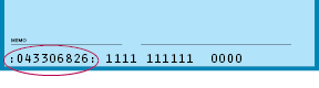 Visual depiction of location of routing number on check