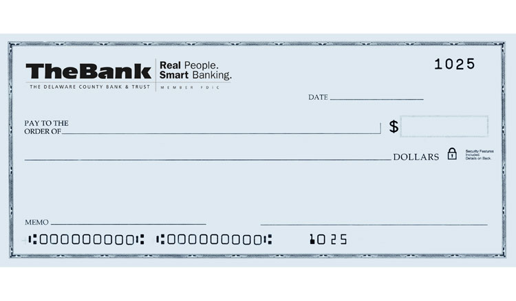 Fake Check Image